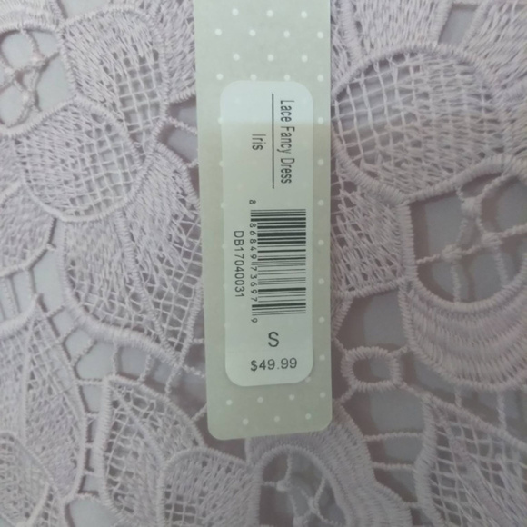 🆕 DownEast Basics Women's Lace Fancy Dress - Picture 4 of 4